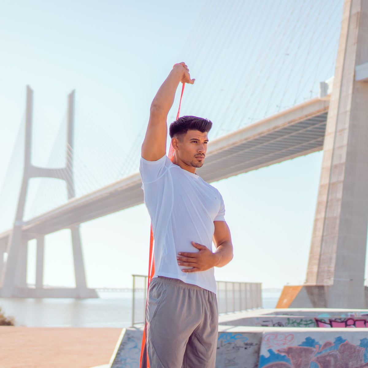 Fitness bands