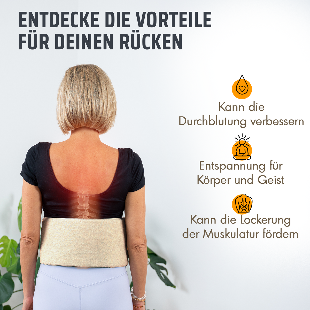 Akupressur Lendengürtel – Beige-Grau (B‑Ware) - - Outlet von NEOLYMP | Fitnessequipment und Sportartikel
